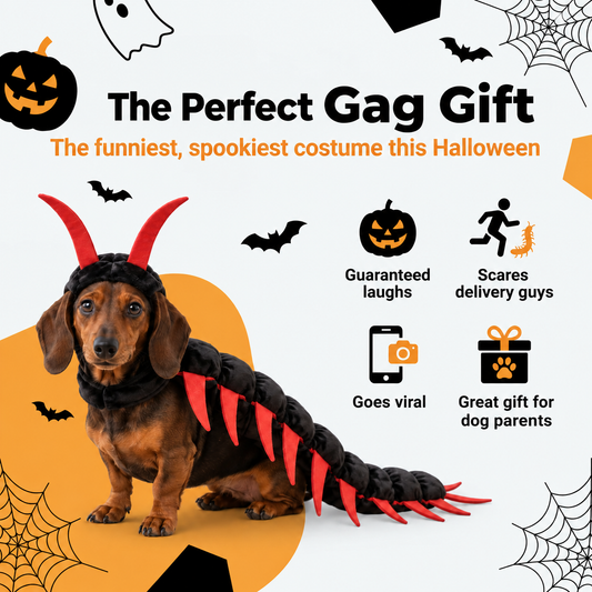 CentiPaws™ Centipede Pet Costume